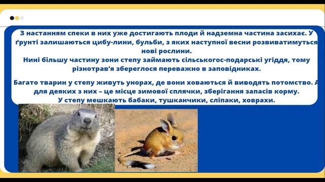 Урок№14,ЯДС тема: Подорожуємо просторами степу частина 2 смотреть онлайн