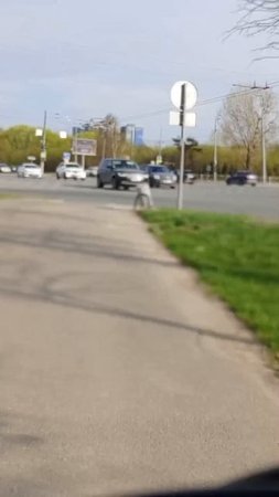 Жара весна