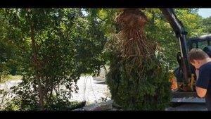 13 Летний пацан управляет трактором впервые.