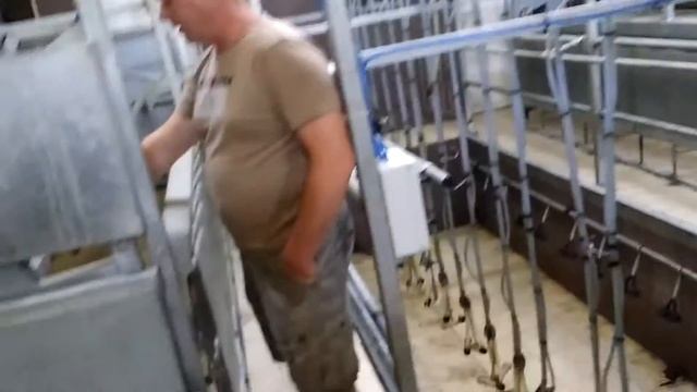 Овцеферма 1 смотреть онлайн