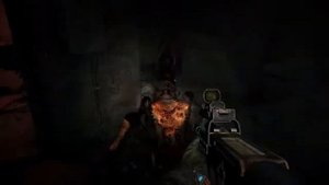 Платина в Metro 2033 Redux.