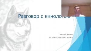 РАЗГОВОР С КИНОЛОГОМ ОТВЕТЫ НА ВОПРОСЫ