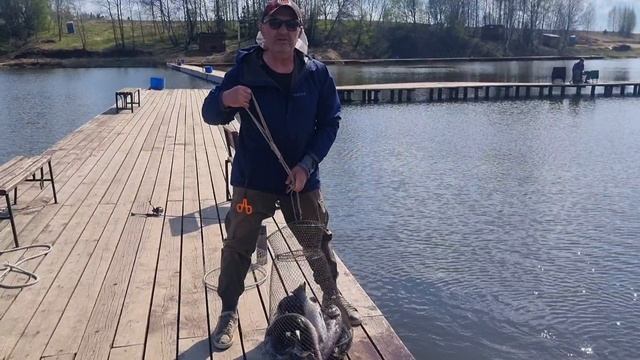 22-04-2025 смотреть онлайн