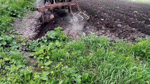 Мтз 82 Пашу огород под пары