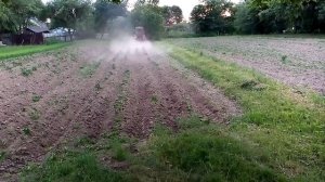 Трактор Т-25 прополка картофеля "ежиками"/ T-25 weeding potatoes /обробка іжаками