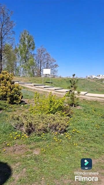 #ПаркАлыепаруса #парки #веснавпарке #виднареку #виднаводу #сосны #природа #прогулкавпарке #отдых