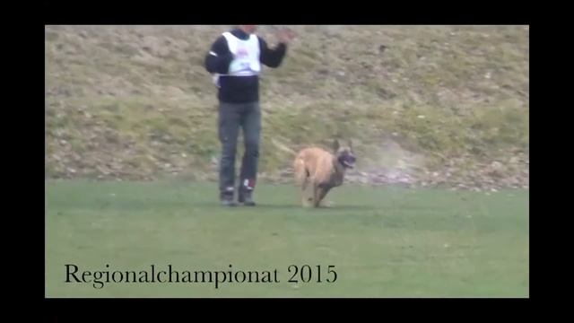 Вики и Боуи смотреть онлайн