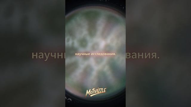 💪Мышечная память💪 #reels #мышцы #тренировка #зож #спорт #sports