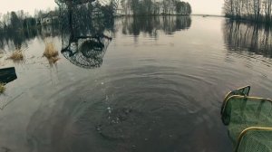 подлещики 😀