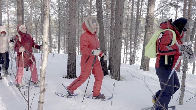 Мончеходцы стоянка 2