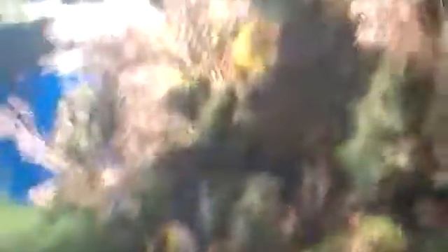 Москвариум(29) смотреть онлайн