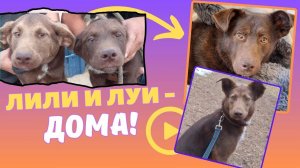 Вместе  мы сила!
