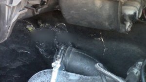 Wynns Aerosol Diesel Turbo Cleaner Review