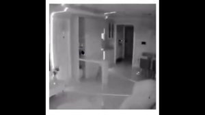 Не двигайся - нас заметили