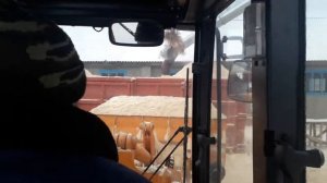 Амкодор320 пагрузка опилок.