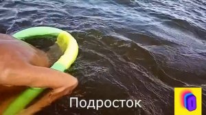 Показываю, как можно использовать нудл из магазина Фикс Прайс  Идем плавать