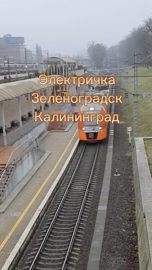 Электричка Зеленоградск/Калининград.