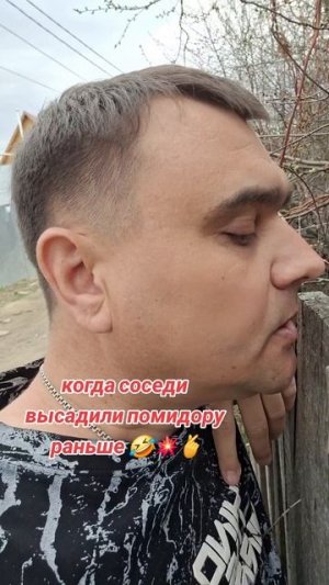 Помидоры весной