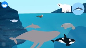 Marcopolo Ocean Gameplay for kids | reviews on captions | iOS Android