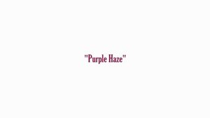 Joe Lynn Turner - Purple Haze