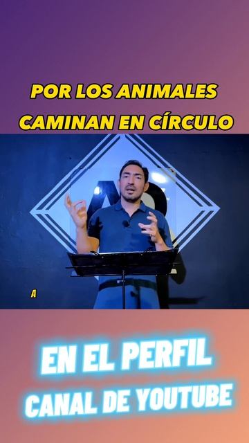 ¿PORQUE LOS ANIMALES CAMINAN EN CIRCULO? #shorts смотреть онлайн
