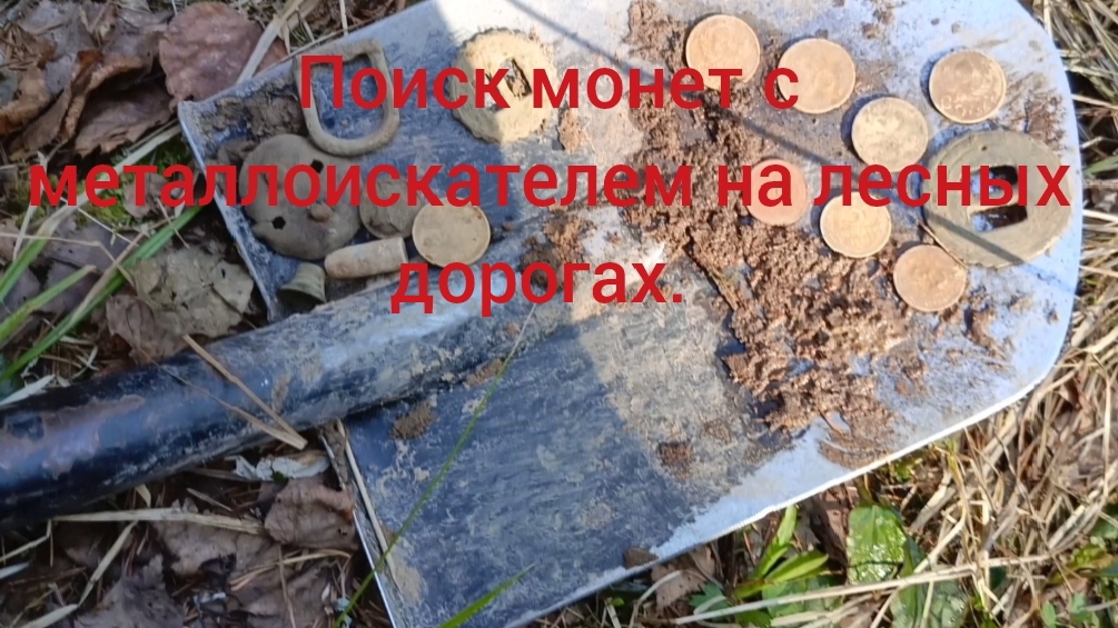 поиск монет с металлоискателем на старых лесных дорогах.