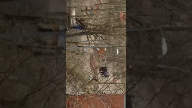 Субботник в 138 саду выборгского района смотреть онлайн