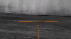 "Кабаны не пришли, но косуленка увидел! Охота с GUIDE TR450"