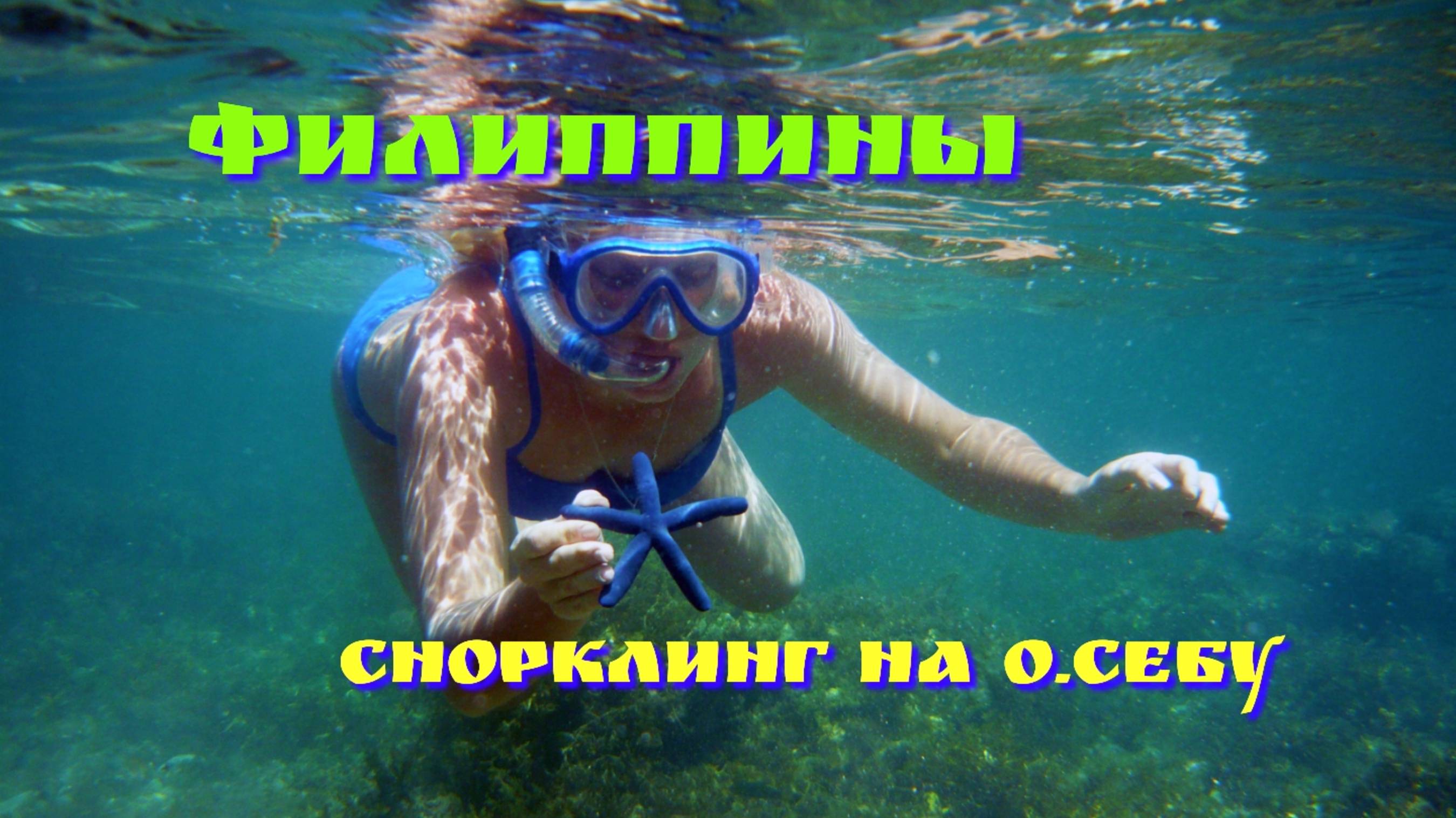 Снорклинг с черепахами и акулами на острове Себу. Филиппины.mp4
