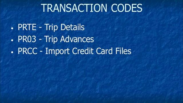 SAP Travel Management Transaction Codes смотреть онлайн