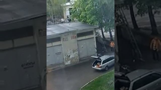 Спасение кошки смотреть онлайн