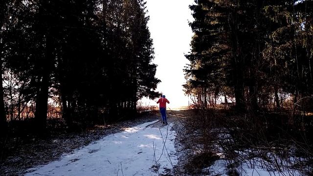 Имитация лыжного хода