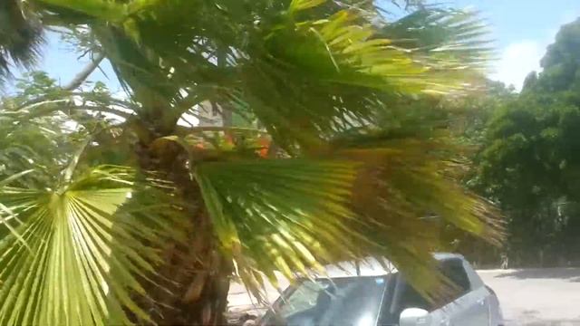 Grand Cayman смотреть онлайн