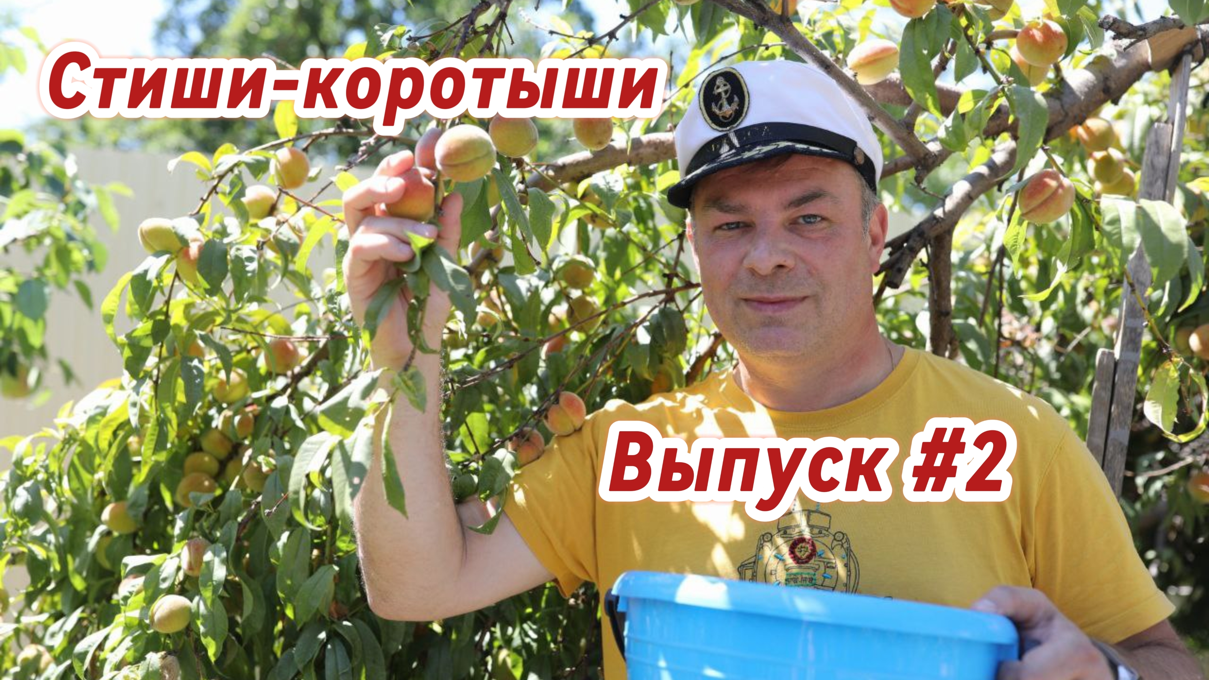 Стиши-коротыши. Выпуск #2