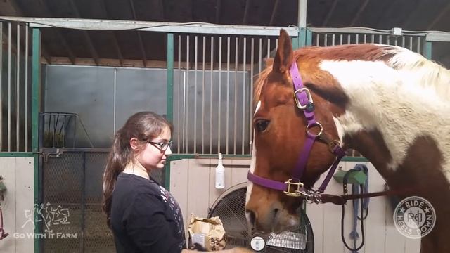 Will JJ Eat It? Popcorn (guest host Elizabeth Caffarelli) смотреть онлайн