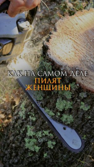 Как на самом деле пилят женщины