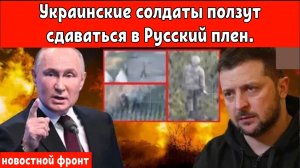 Украинские солдаты ползут сдаваться в Русский плен.