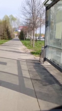 кривой
