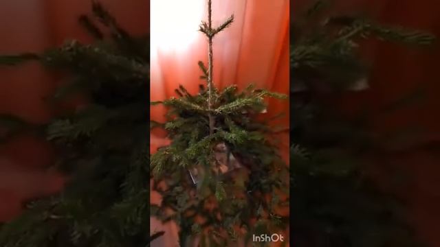 4 января 2024 г. смотреть онлайн