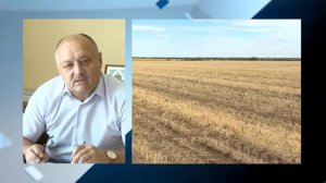 В Саратовской области из-за засухи «горит» урожай