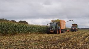 Современная #сельскохозяйственная #техника на заготовке силоса.