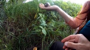 Проект "Речка Исток от истока до устья" в пяти частях. (Трейлер)