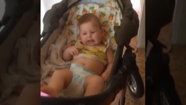 Говорящий кот получил по полной.. смотреть онлайн