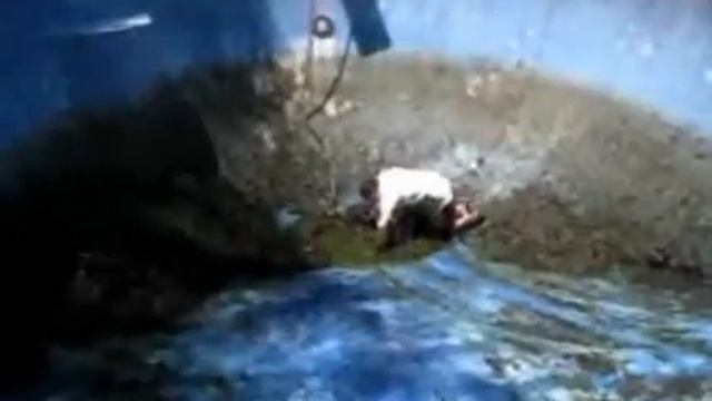 Неудачная чистка бассейна смотреть онлайн