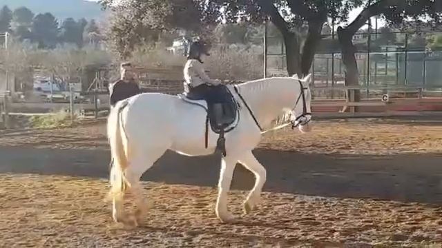 Катаюсь на лошади в конном клубе. Montar el caballo. niña monta el caballo en club hípico. смотреть онлайн