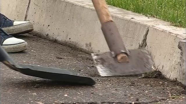 Трудовые отряды главы города покрасят малые архитектурные формы во дворах
