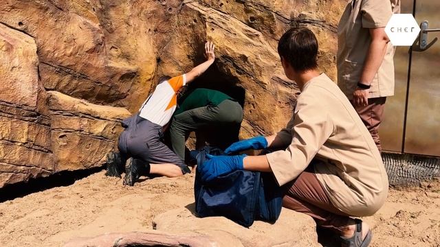 Вся правда о ветеринаре Казанского зооботсада. Почему животные ее не любят? смотреть онлайн