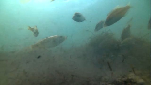 Подводное. Евпатория смотреть онлайн