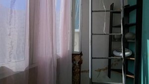 КРАУЗЕ