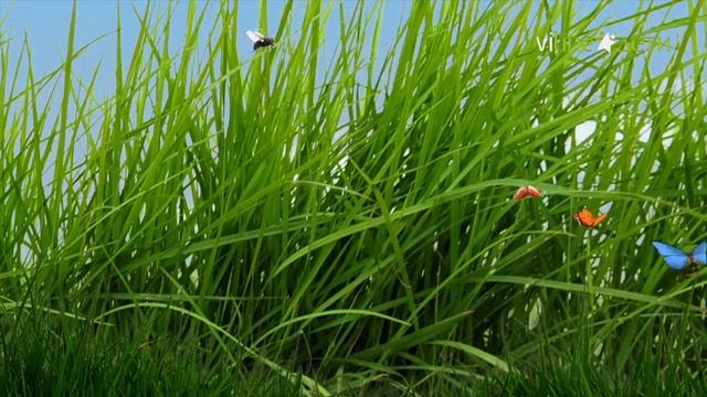 Познавательный мультик про лето для самых маленьких